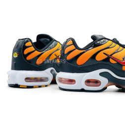 Nike Air Max Plus Orange